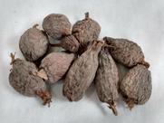 Fava de Ataré Africano/ Pimenta da Costa Africana