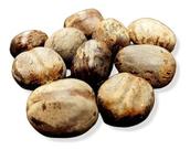 Fava de obaluae