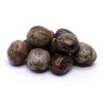 Fava de omolu