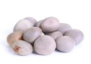 Fava de oxossi