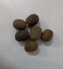 Fava de oxumaré