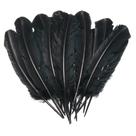 Feather Quill Handy Lidy, 20 peças, 10 a 12 cm, decoração artística DIY Feather Quill Handy Lidy, 20 peças, 10 a 12 cm, decoração artística DIY