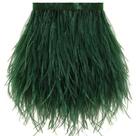 Feather Trim Soarer Ostrich 2 jardas 13-18 cm verde