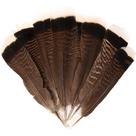 Feathers IHU Feather Natural Turkey Tails 25-30 cm, artesanato, 20 unidades Feathers IHU Feather Natural Turkey Tails 25-30 cm, artesanato, 20 unidades