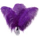 Feathers Larryhot Purple Ostrich 40-45 cm - 10 unidades para vaso
