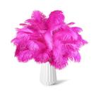 Feathers NEWONG Ostrich Fuchsia 30 unidades 28-35 cm para decoração Feathers NEWONG Ostrich Fuchsia 30 unidades 28-35 cm para decoração