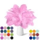 Feathers NEWONG Ostrich Pink 30 unidades naturais de 28 a 35 cm para artesanato Feathers NEWONG Ostrich Pink 30 unidades naturais de 28 a 35 cm para artesanato