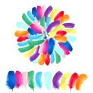 Feathers Zithyond 400 unidades coloridas de 8 a 12 cm para artesanato DIY Feathers Zithyond 400 unidades coloridas de 8 a 12 cm para artesanato DIY