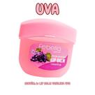 Febella Lip Balm Vaselina 100% Hidratante Vaselina protetor labial
