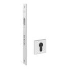 Fechadura Pado Externa Trava Rolete Magnético 55MM RQ4 201-55ARMC BRT
