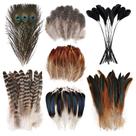 FeelFunFeather 150 peças de penas decorativas naturais mistas