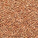 Feijão de Corda 1Kg Novinho