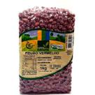 Feijão Vermelho Orgânico Coopernatural 1kg