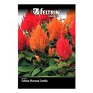 Feltrin semente celosia plumosa sortida 1pct 400mg Feltrin semente celosia plumosa sortida 1pct 400mg