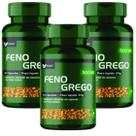 Feno greg o 180 Cápsulas 500mg kit 3 frascos 60 capsulas