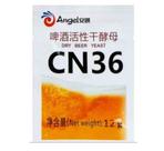 Fermento Angel CN 36