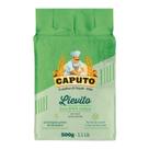 Fermento Biológico seco italiano Lievito Caputo 500g