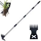 Ferramenta de extração de ervas daninhas NICOFPHY, capina manual de 60 cm com cabo longo