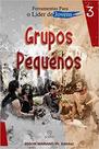 Ferramentas Para o Líder de Jovens: Grupos Pequenos (Volume 3) - SARAIVA (GERAL) - GRUPO SARAIVA