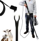 Ferrão Eletrônico Magnatronic CAA140 110/220V C/ Cabo 15m Picana Manejo Gado