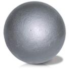 Ferro Shot Put Nelco Scholastic 2,72 kg