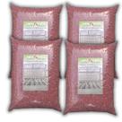 Fertilizante Cloreto Potássio Granulado 20 Kg Adubo 60%kcl