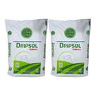 Fertilizante Dripsol para Tomate 2kg Nutrição completa via fertirrigação, colheita farta