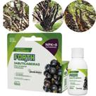 Fertilizante Forth Jabuticabeiras 60 ml Fertilizante Forth Jabuticabeiras 60 ml