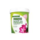 Fertilizante forth rosa do deserto 400g