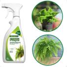 Fertilizante Forth Samambaias Borrifador 500ml Pronto Uso