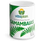 Fertilizante Mineral Misto em Pastilhas Vitaplan Samambaias 50G