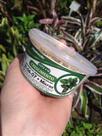 Fertilizante Plantacote Turf 31-06-07 - Crescimento Controlado (4 Meses)