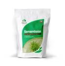 Fertilizante Plantfertil Samambaia - 3KG