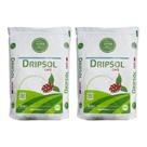 Fertilizante Premium Dripsol Café 2kg Com Alta Pureza e Rápida Absorção