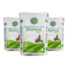 Fertilizante Premium Dripsol Café 3kg Com Alta Pureza e Rápida Absorção Fertilizante Premium Dripsol Café 3kg Com Alta Pureza e Rápida Absorção