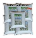 Fertilizante Sulfato De Potassio 25kg Hidroponia Soluvel