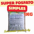 Fertilizante Super Fosfato Simples 1Kg Adubo Fertilizante Super Fosfato Simples 1Kg Adubo