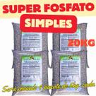Fertilizante Super Fosfato Simples 20Kg Adubo