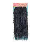 Fibra 3X Boho Passion 1 Cherey 300G