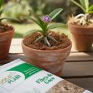 Fibra de Coco Horta Planta Orquidea Jardim (lavado) 40 Litros Gold Plant
