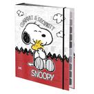 Fichario Snoopy Universitário Com 48 Folhas - Dac
