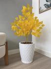 Ficus Amarelo Outono Planta Artificial Com Vaso Casca Luxo -