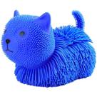 Fidget Mania FLOFYS Gatinho Miau Azul DM TOYS DMT6380