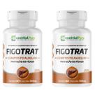 Figotrat 120 Cápsulas 500mg desinflamação Redução de Gordura Fígado Natural - EP Figotrat 120 Cápsulas 500mg desinflamação Redução de Gordura Fígado Natural - EP