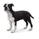 Figura Collect A American Staffordshire Terrier 9,4 x 6,9 cm