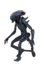 Figura de ação NECA Alien vs Predator Arachnoid Alien 7