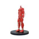 Figura de anime, brinquedo, modelo colecionável, estátua, colossals, titãs