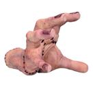 Figura de anime, brinquedo, modelo colecionável, estátua, PVC, 13 cm
