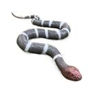 Figura de cobra realista em preto e branco com faixas estilo Cobra F