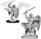 Figura em miniatura WizKids NECA D&D Nolzurs Wave 5 Aasimar Paladin